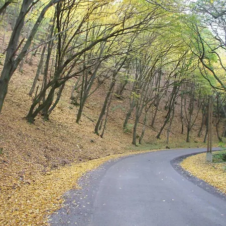 Hotel Simai Vendeghaz *