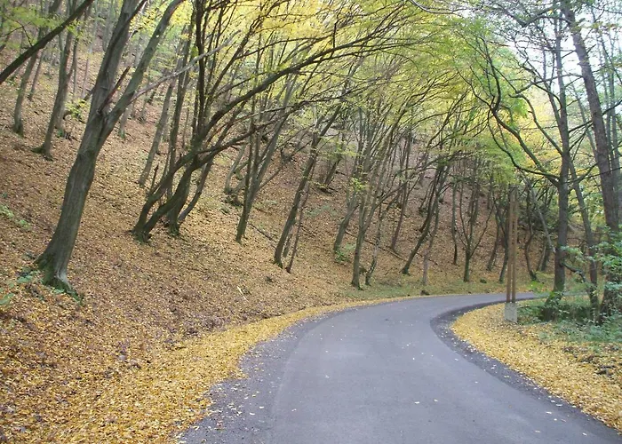 호텔 Simai Vendeghaz *